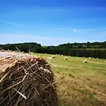 شقة Harzblick *